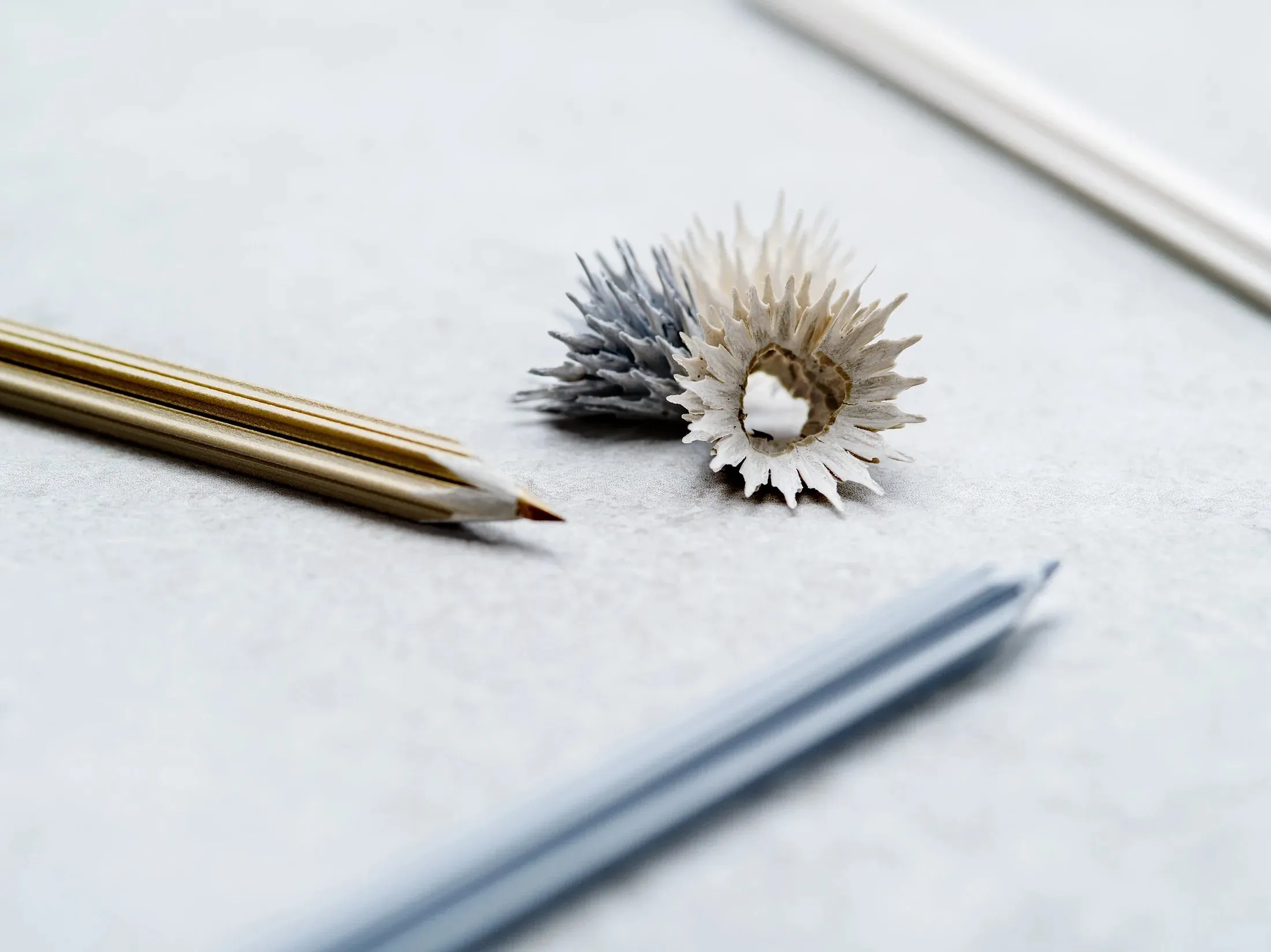 Snow Coloured Pencils with Sharpener